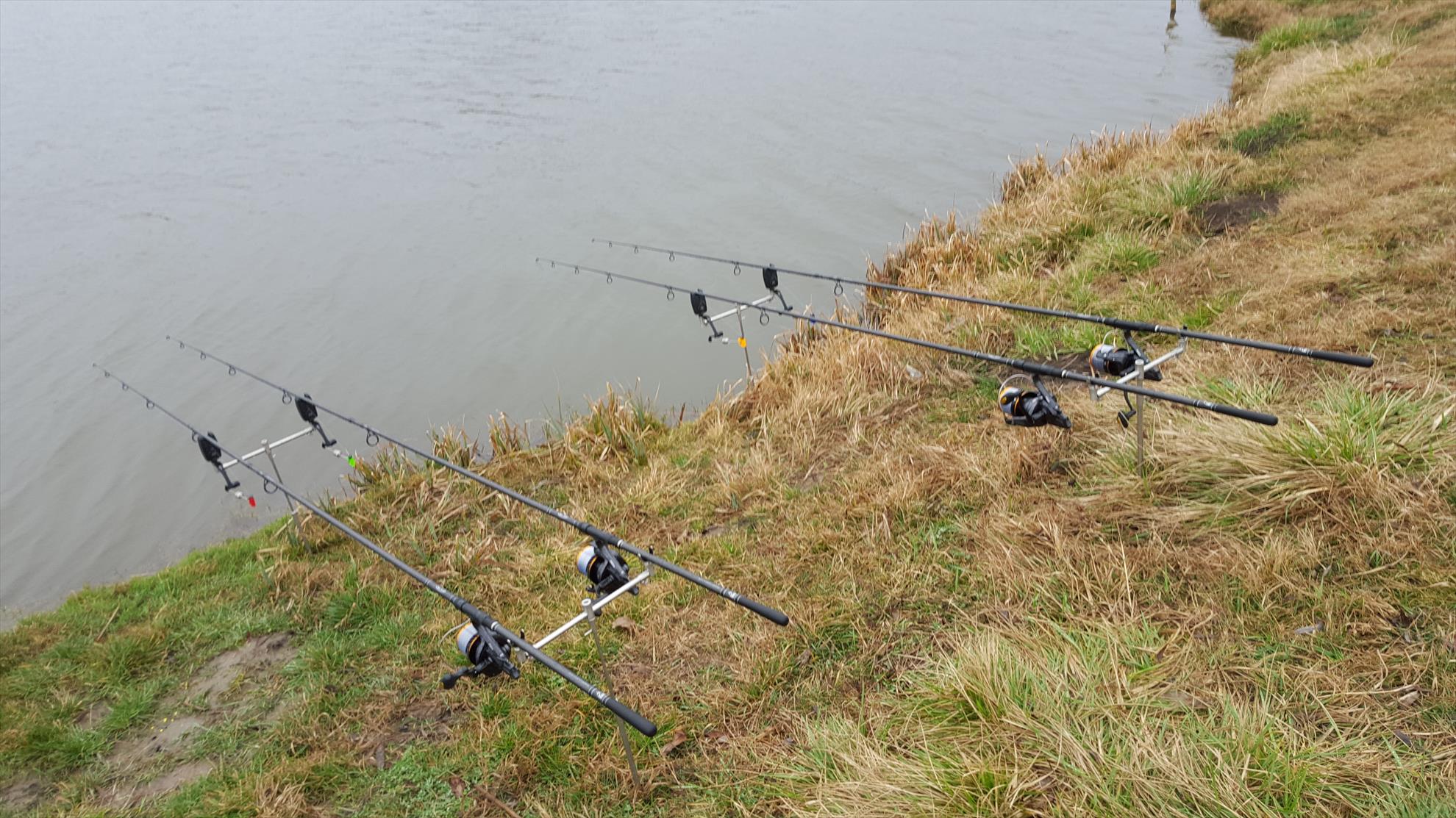 MV2 27-02-2016 - 20160227111332.jpg